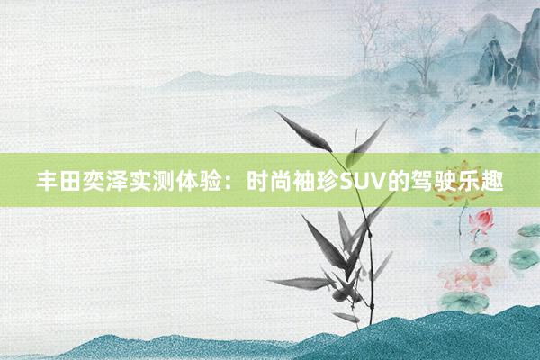 丰田奕泽实测体验：时尚袖珍SUV的驾驶乐趣